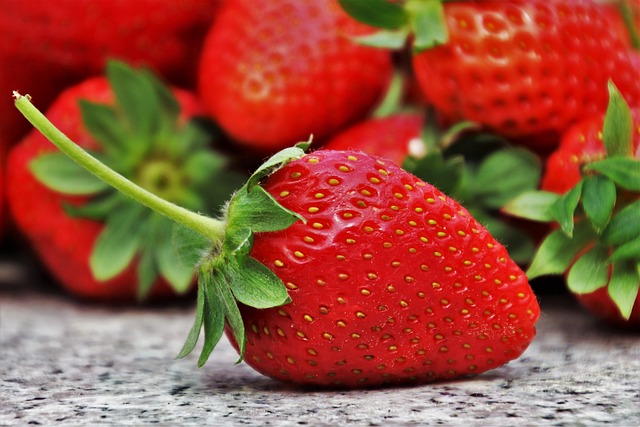 Nutrición